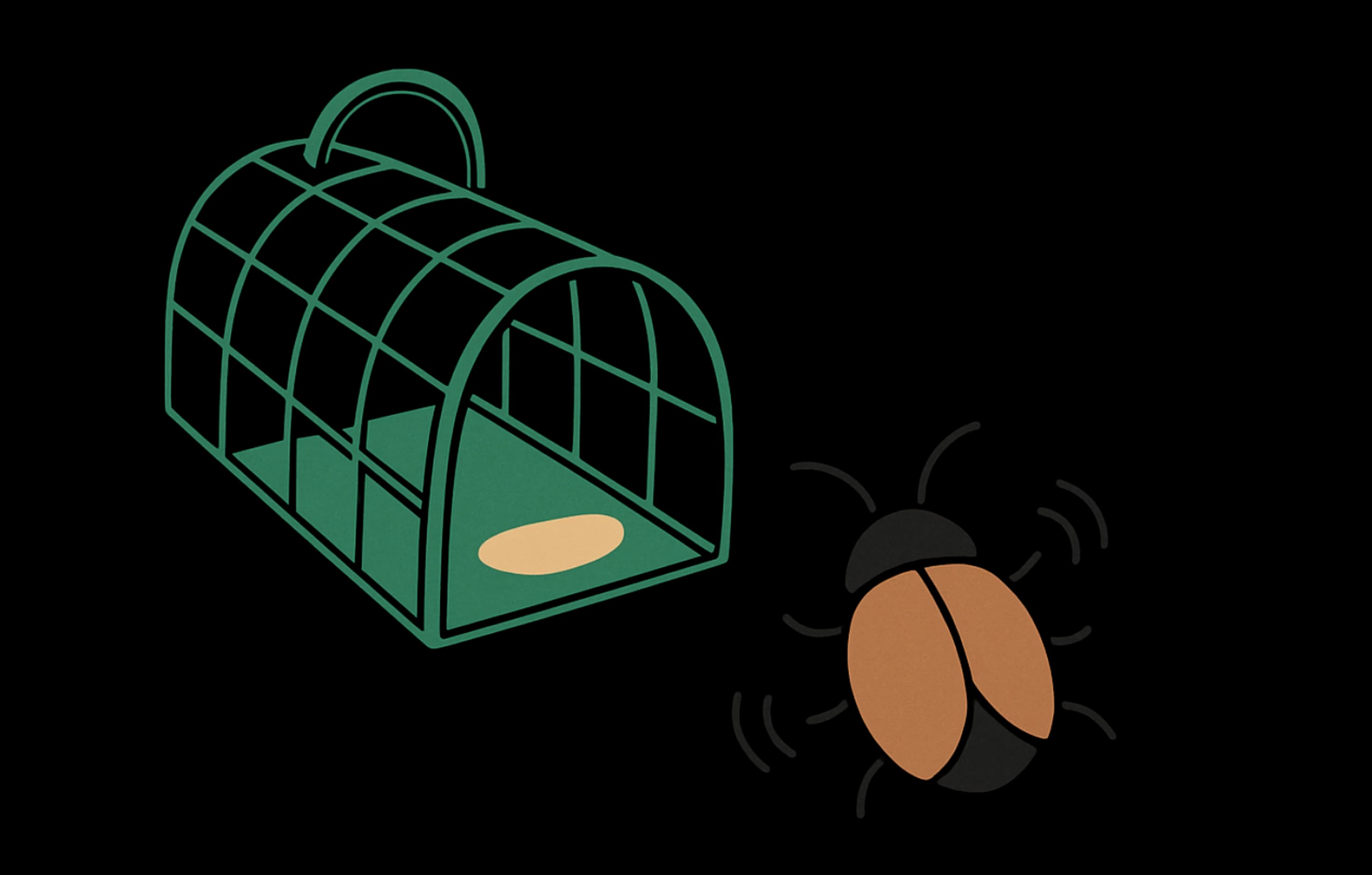 Cover image for 10 Powerful Code Quality Tools That Catch Bugs Before Deployment